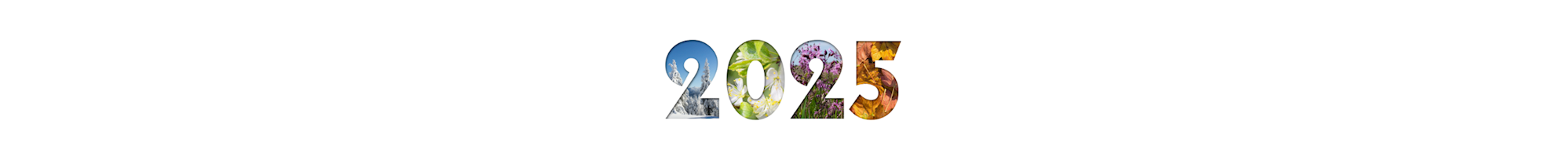 2025 Tour Specials header