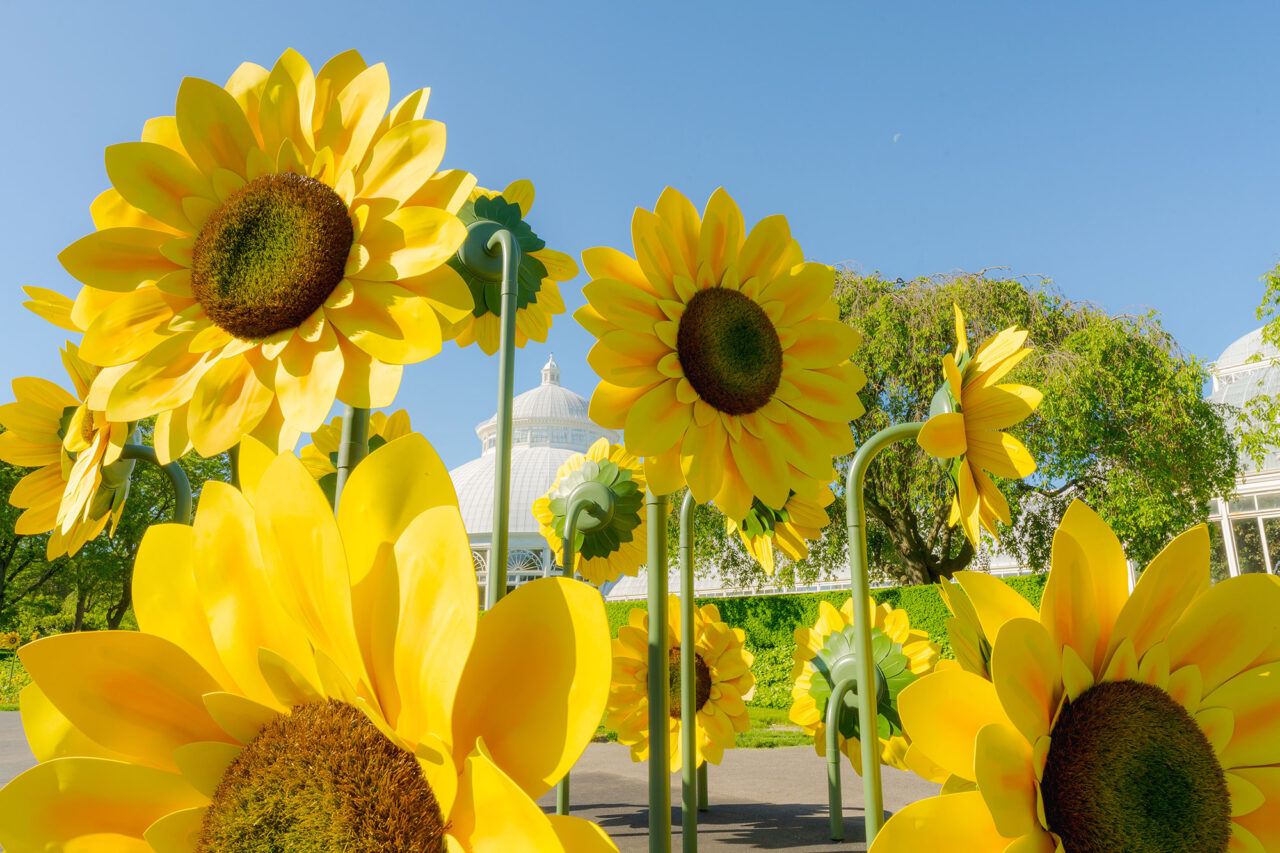 Van Gogh’s Flowers 2