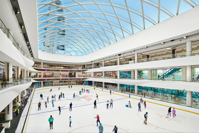The Rink