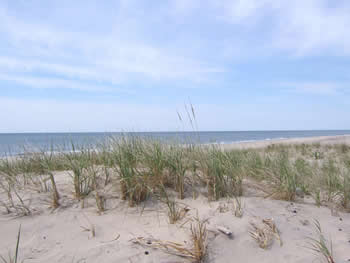Coopers Beach South Hampton