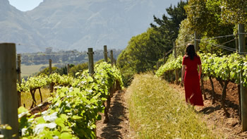 Osprey's Dominion Vineyard and Winery