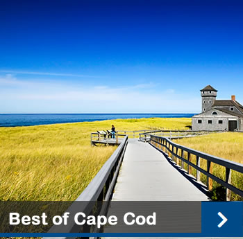 Cape Cod Fields and Ocean