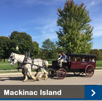 Mackinac Island carraige