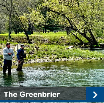 The Greenbrier fishing